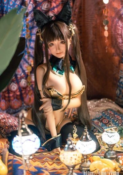 拉布拉多警长100集