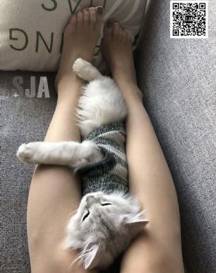 《聚会的目的》完整版