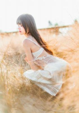 爱你张凌赫电视剧免费播放