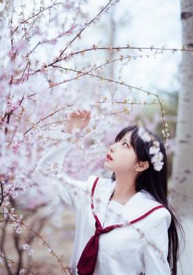 施公奇案