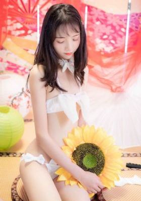 神犬奇兵电视剧全集免费观看